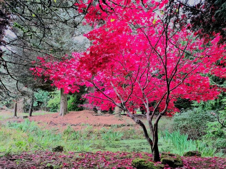 Beautiful Cottage In Brentwood Kelvedon Hatch ภายนอก รูปภาพ