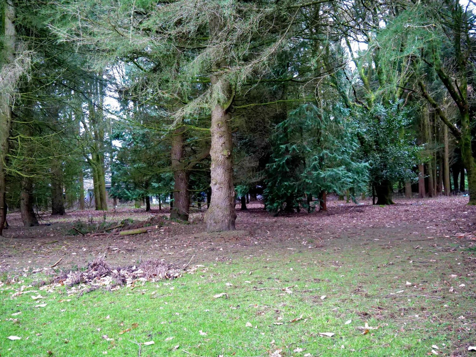 Beautiful Cottage In Brentwood Kelvedon Hatch ภายนอก รูปภาพ